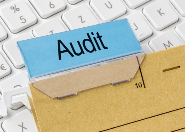 seo audit